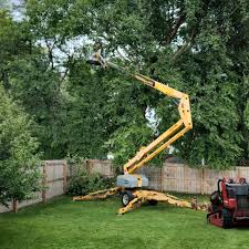  Carthage, IL Tree Removal and Landscaping Services Pros